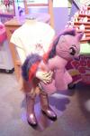 Toy Fair 2012: My Little Pony and Littlest Pet Shop - Transformers Event: DSC05276