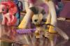 Toy Fair 2012: My Little Pony and Littlest Pet Shop - Transformers Event: DSC05292