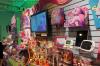 Toy Fair 2012: My Little Pony and Littlest Pet Shop - Transformers Event: DSC05300