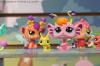 Toy Fair 2012: My Little Pony and Littlest Pet Shop - Transformers Event: DSC05502
